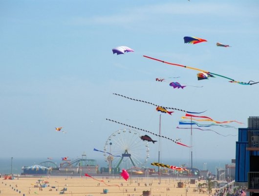 kites flying over beach 